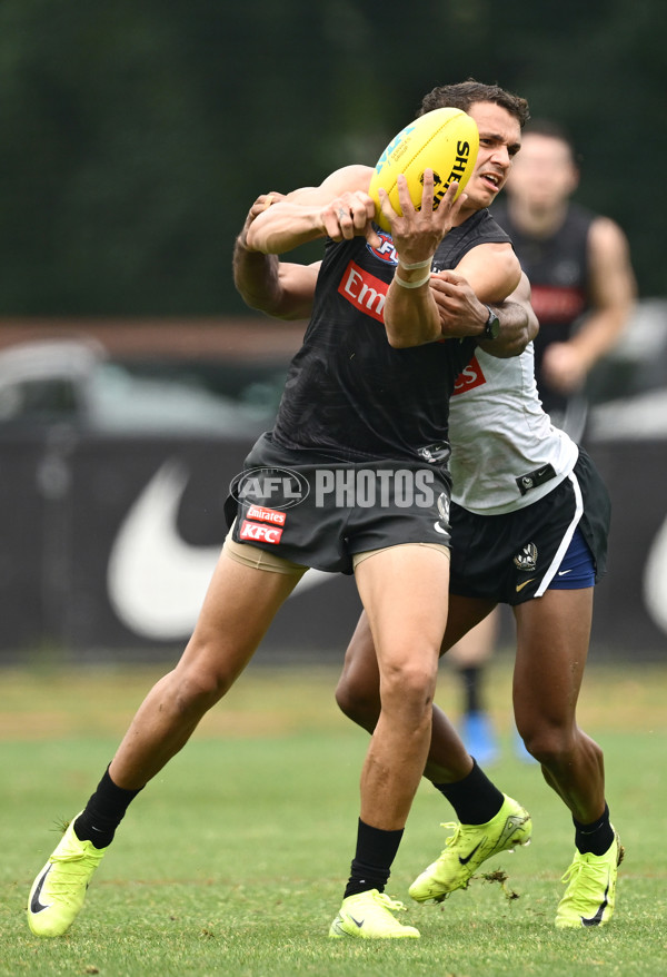 AFL 2024 Training - Collingwood 261124 - A-55798495