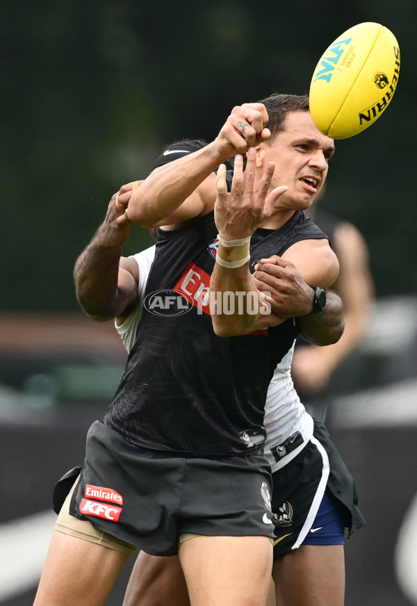 AFL 2024 Training - Collingwood 261124 - A-55798496