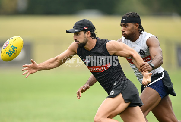 AFL 2024 Training - Collingwood 261124 - A-55798497