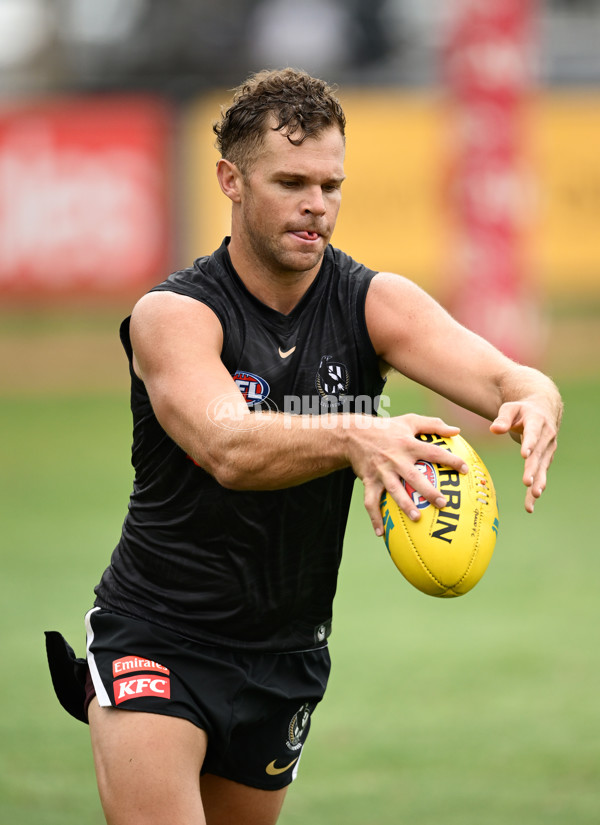 AFL 2024 Training - Collingwood 261124 - A-55798504