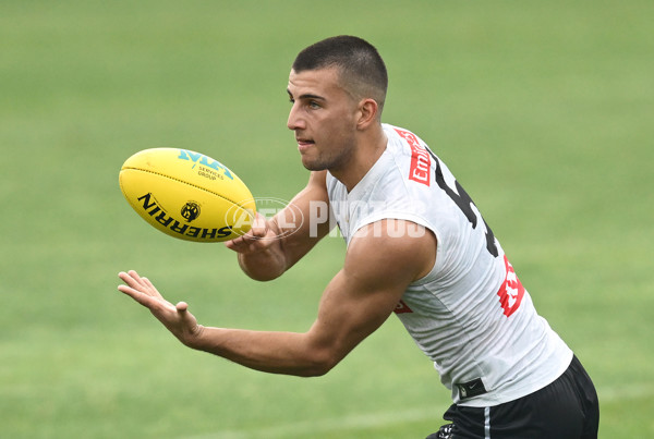 AFL 2024 Training - Collingwood 261124 - A-55798511