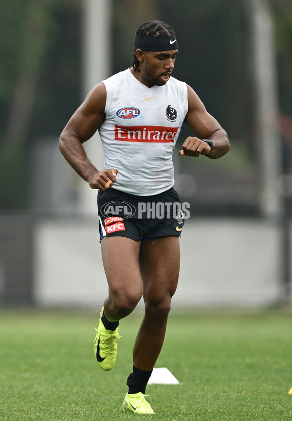 AFL 2024 Training - Collingwood 261124 - A-55798520