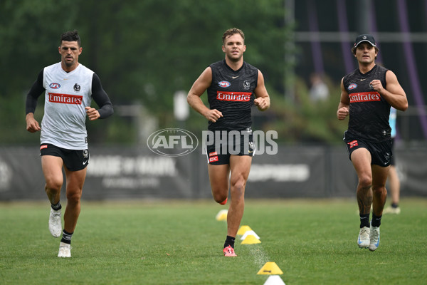 AFL 2024 Training - Collingwood 261124 - A-55798525