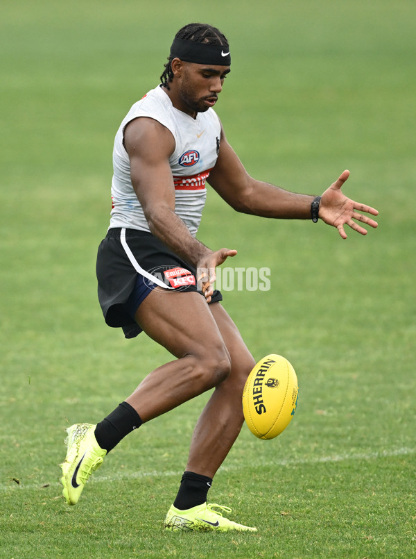 AFL 2024 Training - Collingwood 261124 - A-55798529