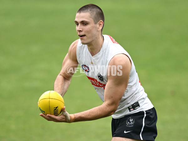 AFL 2024 Training - Collingwood 261124 - A-55800835