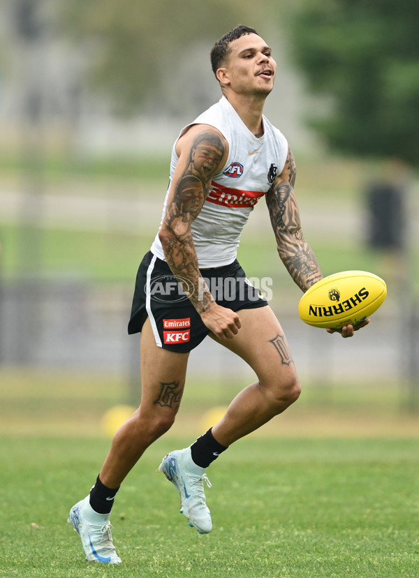 AFL 2024 Training - Collingwood 261124 - A-55800839