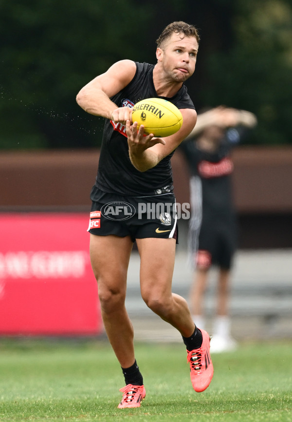 AFL 2024 Training - Collingwood 261124 - A-55800845