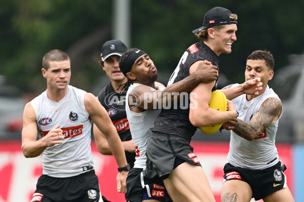 AFL 2024 Training - Collingwood 261124 - A-55800846