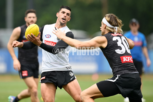 AFL 2024 Training - Collingwood 261124 - A-55800847