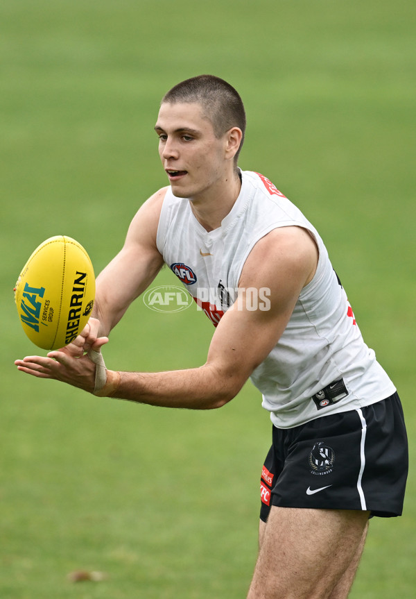 AFL 2024 Training - Collingwood 261124 - A-55801032