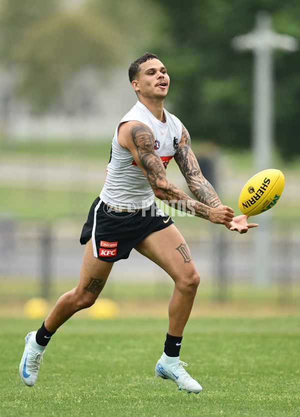 AFL 2024 Training - Collingwood 261124 - A-55801038