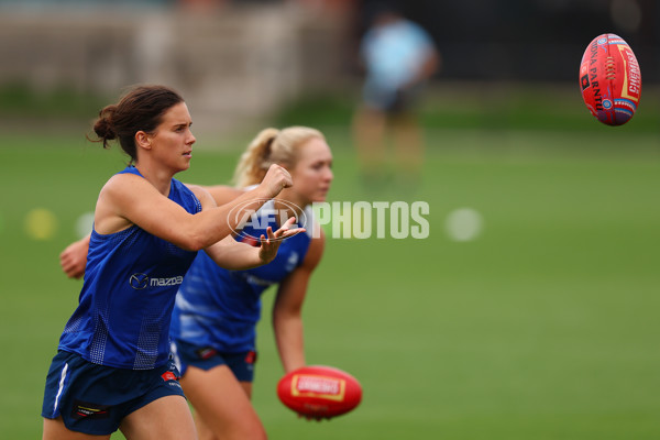 AFL 2024 Training - North Melbourne 271124 - A-55803604