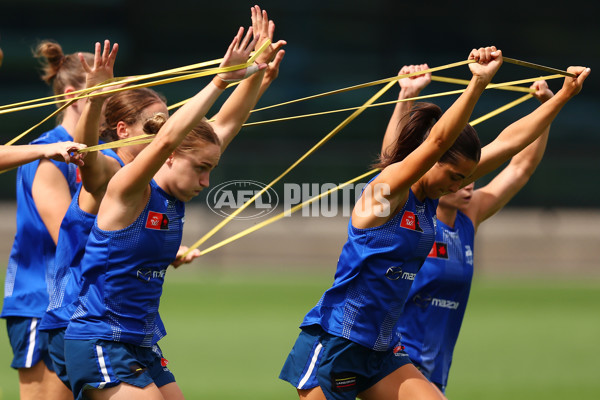 AFL 2024 Training - North Melbourne 271124 - A-55803765