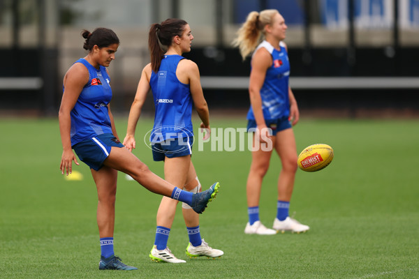 AFL 2024 Training - North Melbourne 271124 - A-55803777