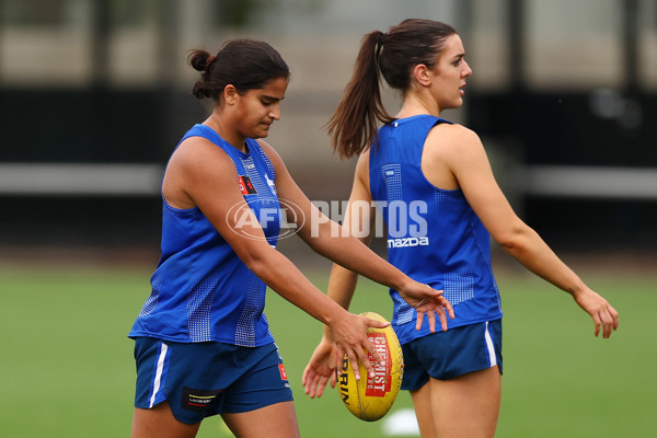 AFL 2024 Training - North Melbourne 271124 - A-55803779