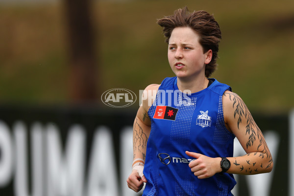 AFL 2024 Training - North Melbourne 271124 - A-55803783