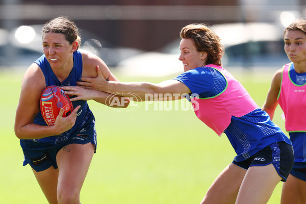 AFL 2024 Training - North Melbourne 271124 - A-55803795