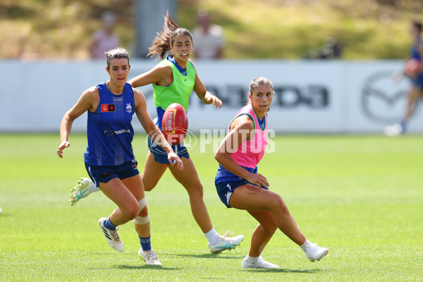 AFL 2024 Training - North Melbourne 271124 - A-55803800