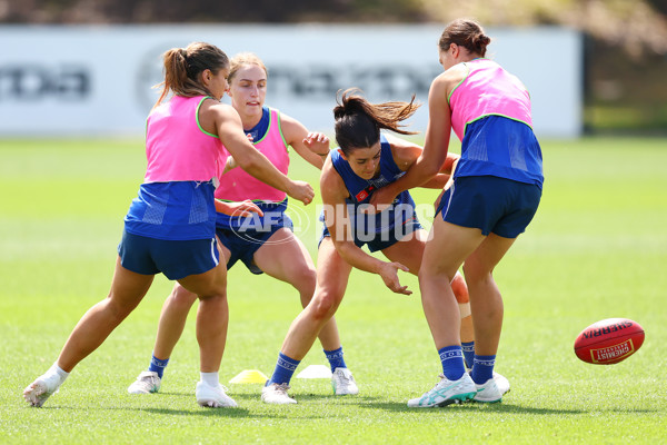 AFL 2024 Training - North Melbourne 271124 - A-55803801