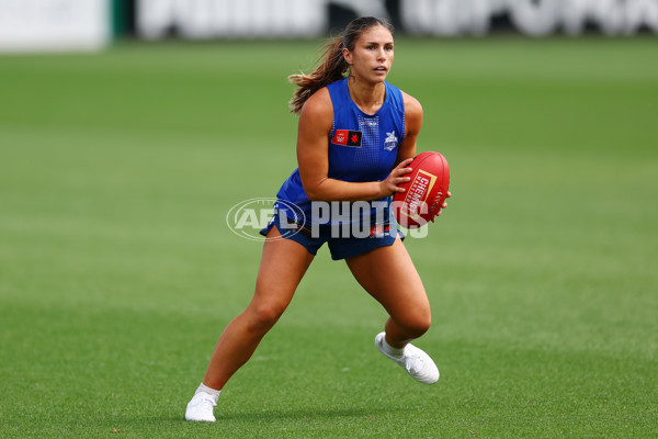 AFL 2024 Training - North Melbourne 271124 - A-55803808