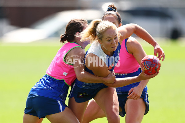 AFL 2024 Training - North Melbourne 271124 - A-55805840