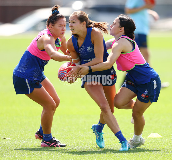 AFL 2024 Training - North Melbourne 271124 - A-55805843