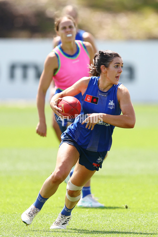 AFL 2024 Training - North Melbourne 271124 - A-55805845