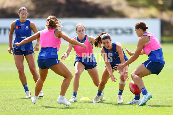 AFL 2024 Training - North Melbourne 271124 - A-55805846