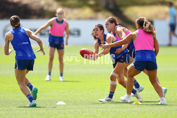 AFL 2024 Training - North Melbourne 271124 - A-55805847