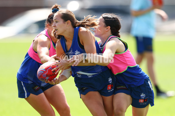 AFL 2024 Training - North Melbourne 271124 - A-55805848