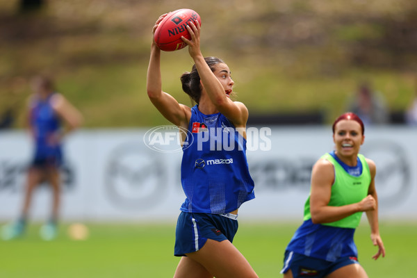 AFL 2024 Training - North Melbourne 271124 - A-55805856