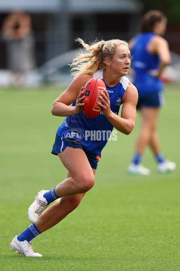 AFL 2024 Training - North Melbourne 271124 - A-55805858