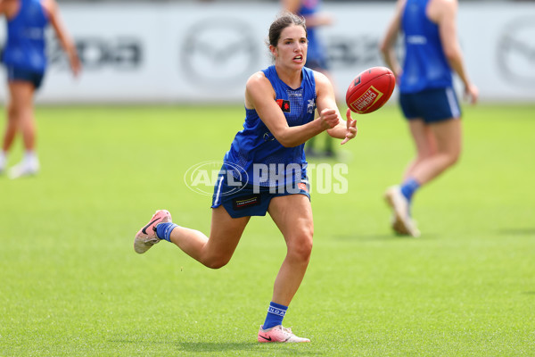 AFL 2024 Training - North Melbourne 271124 - A-55805867