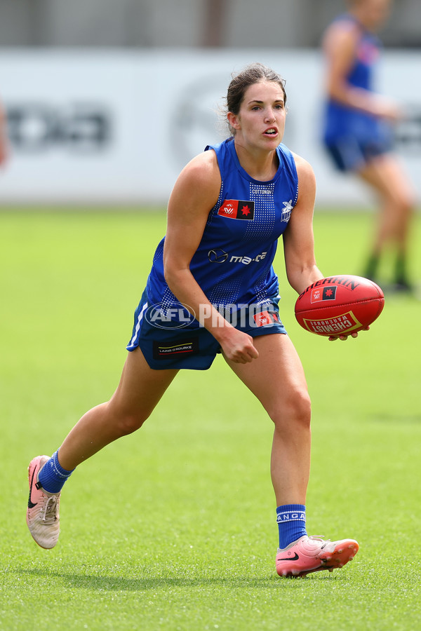 AFL 2024 Training - North Melbourne 271124 - A-55805869