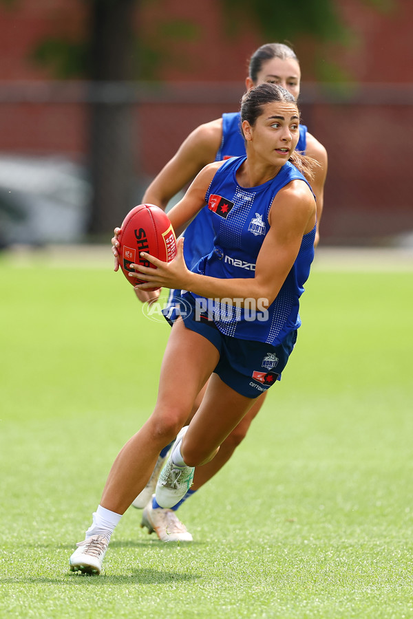 AFL 2024 Training - North Melbourne 271124 - A-55805871