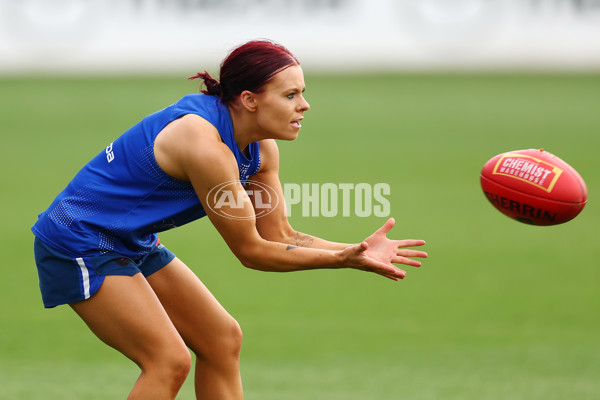 AFL 2024 Training - North Melbourne 271124 - A-55805879