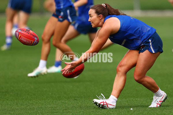 AFL 2024 Training - North Melbourne 271124 - A-55805884