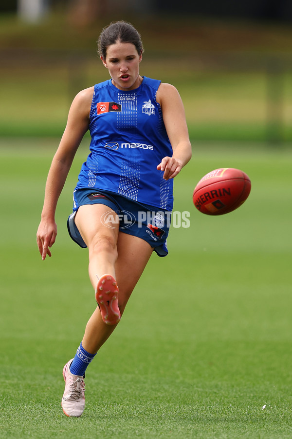 AFL 2024 Training - North Melbourne 271124 - A-55805886