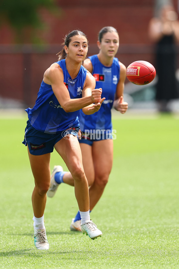 AFL 2024 Training - North Melbourne 271124 - A-55806541