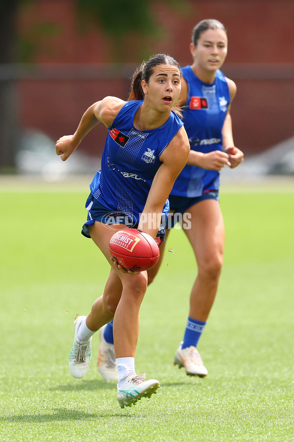 AFL 2024 Training - North Melbourne 271124 - A-55806567