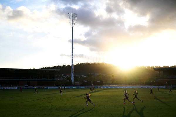 AFL 2024 Training - Brisbane 271124 - A-55809661