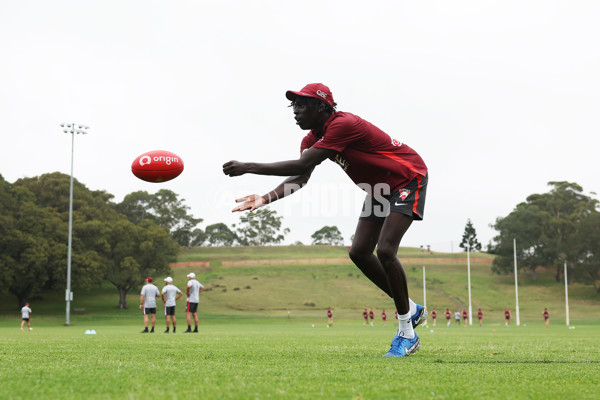 AFL 2024 Training - Sydney 291124 - A-56008391