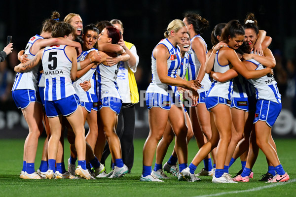 AFLW 2024 Grand Final - North Melbourne v Brisbane - A-56033039