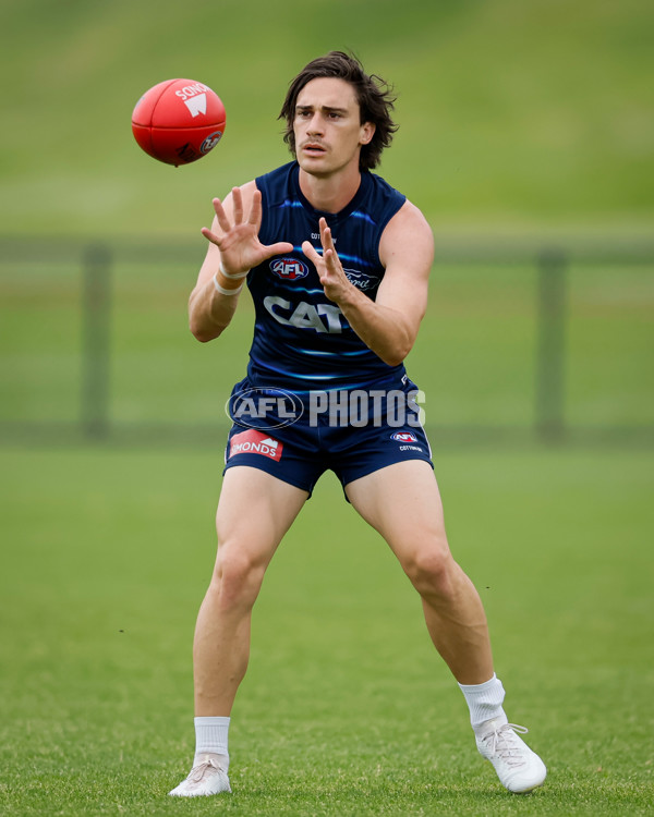 AFL 2024 Training - Geelong 061224 - A-56074014