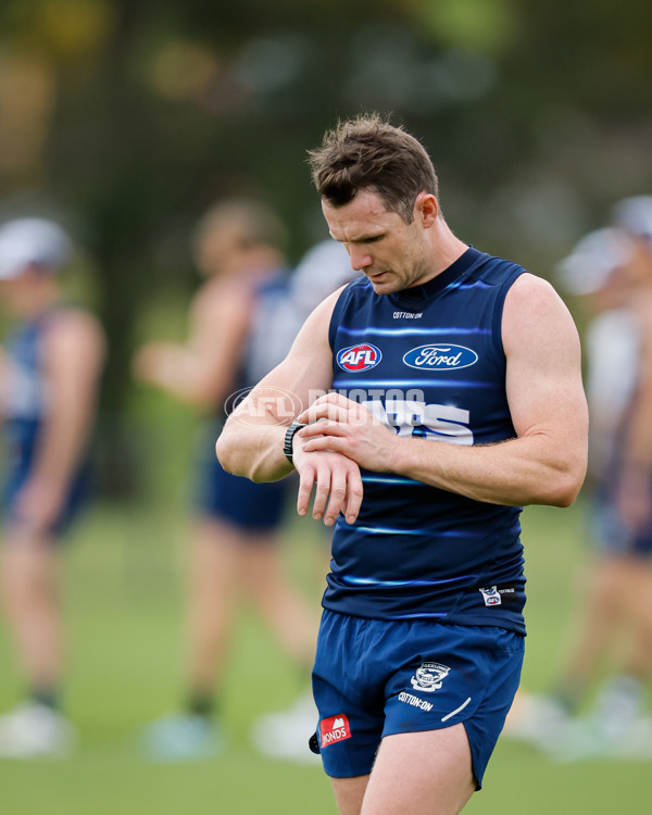 AFL 2024 Training - Geelong 061224 - A-56074021