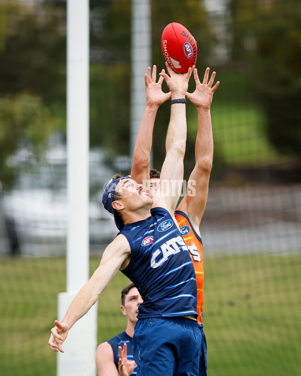 AFL 2024 Training - Geelong 061224 - A-56074049