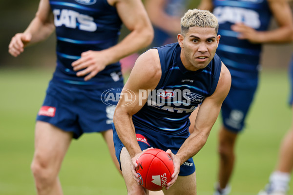 AFL 2024 Training - Geelong 061224 - A-56074052