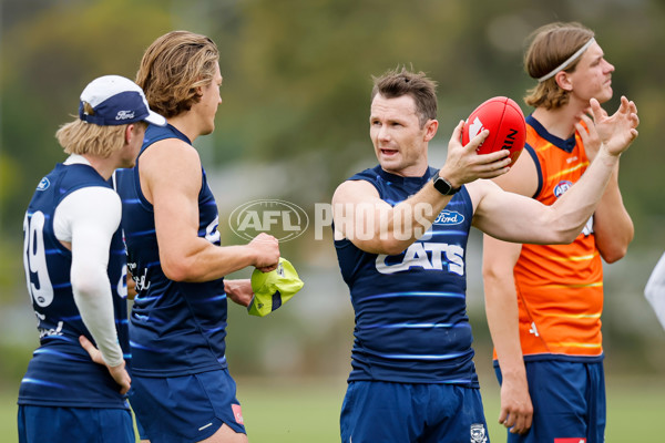 AFL 2024 Training - Geelong 061224 - A-56074809