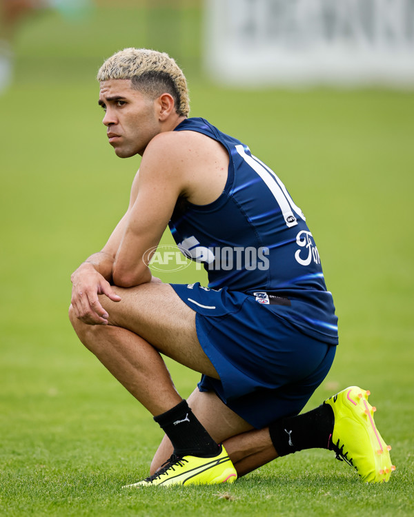 AFL 2024 Training - Geelong 061224 - A-56074819