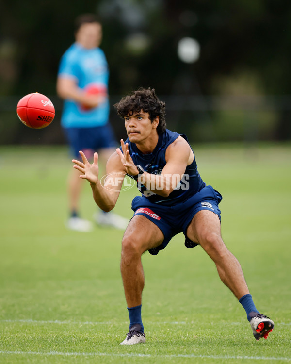 AFL 2024 Training - Geelong 061224 - A-56074821